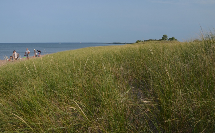 sandy beach dunes near Point Park